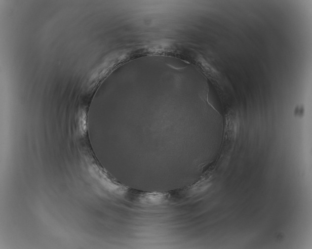 X0000111820479200907231322
