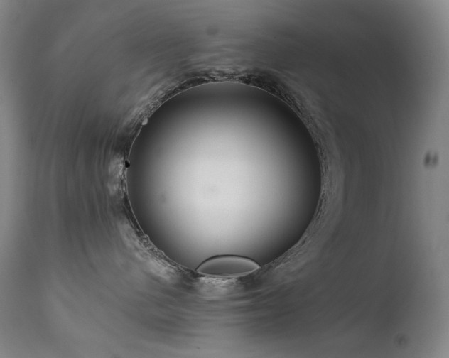 X0000111820480200907231322
