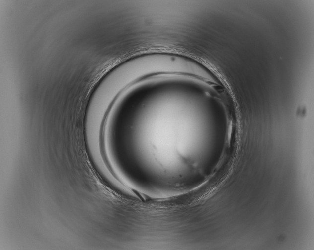 X0000111820481200907231322