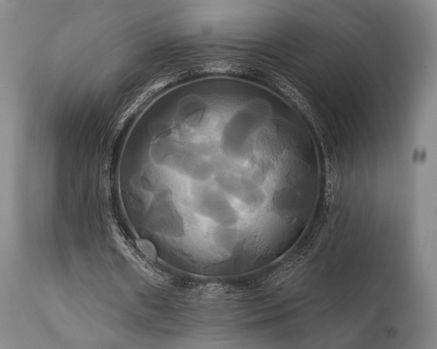X0000111820482200907231322