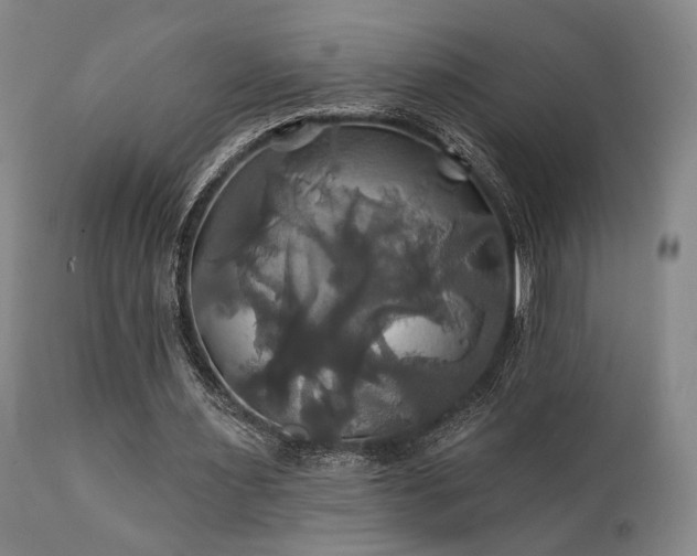 X0000111820483200907231322
