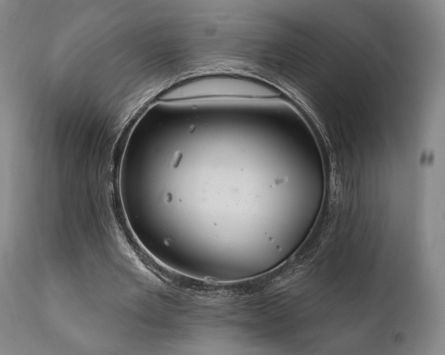 X0000111820485200907231322