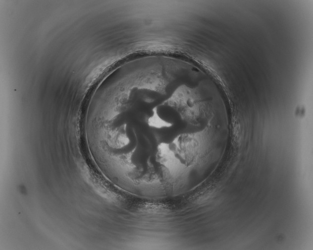 X0000111820487200907231322