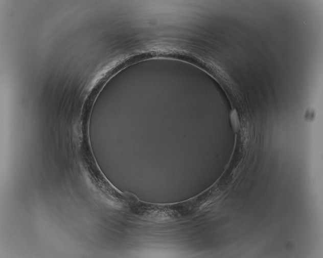 X0000111820488200907231321