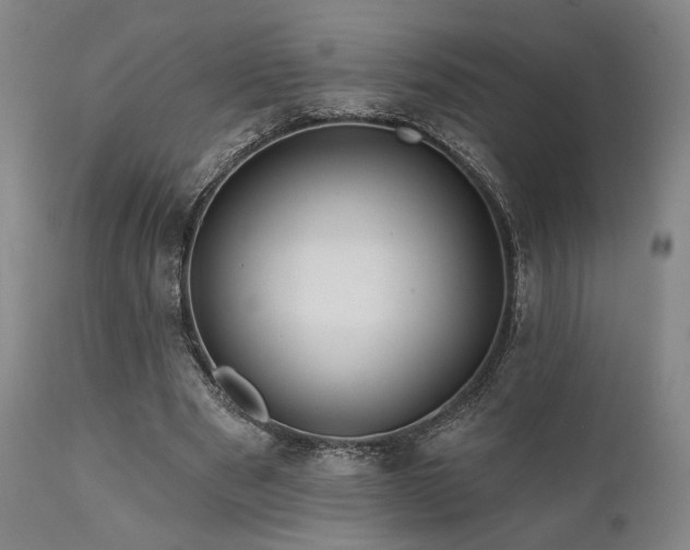 X0000111820489200907231321
