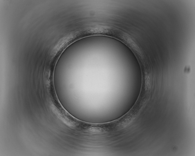 X0000111820490200907231321