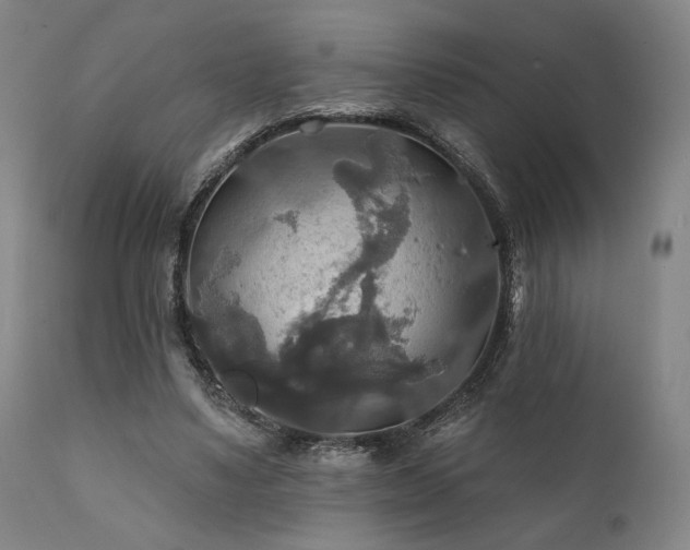 X0000111820491200907231321