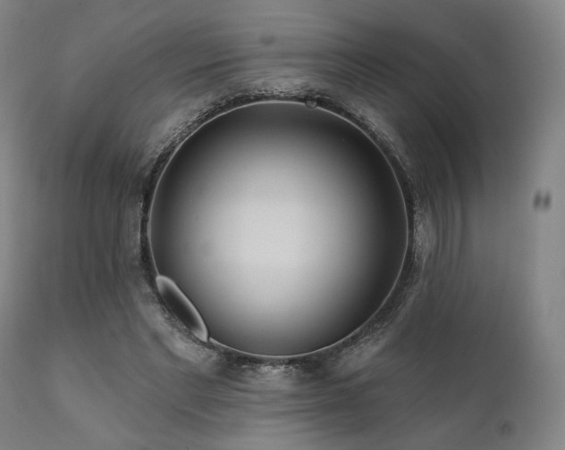 X0000111820493200907231321