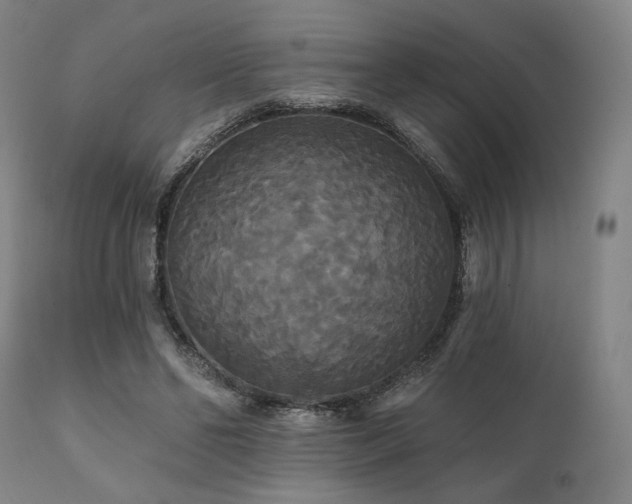 X0000111820494200907231321