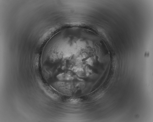 X0000111820495200907231321