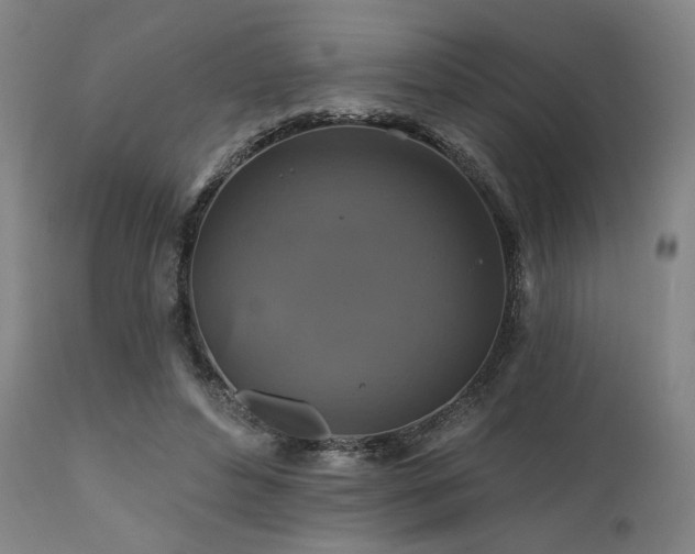 X0000111820496200907231321