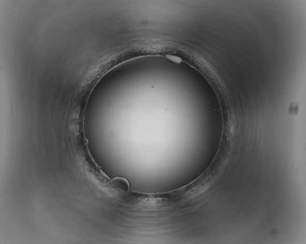 X0000111820497200907231321