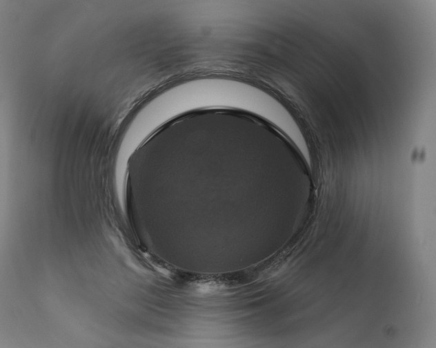 X0000111820500200907231321