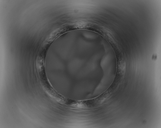 X0000111820503200907231321