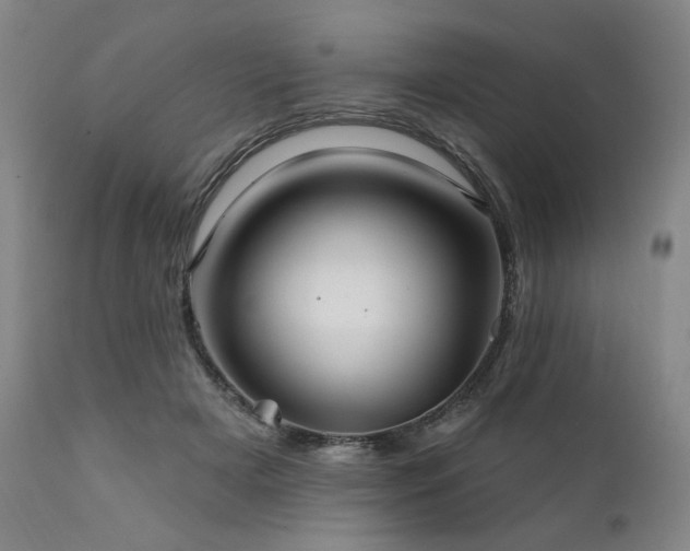 X0000111820505200907231321