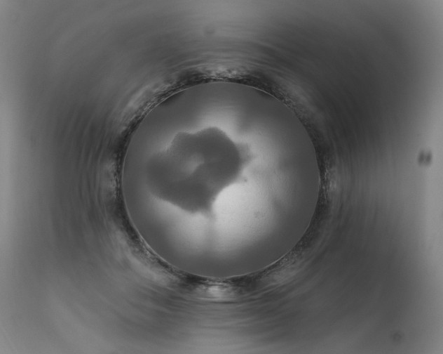 X0000111820506200907231321
