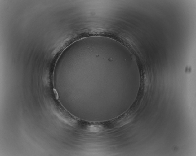 X0000111820508200907231321