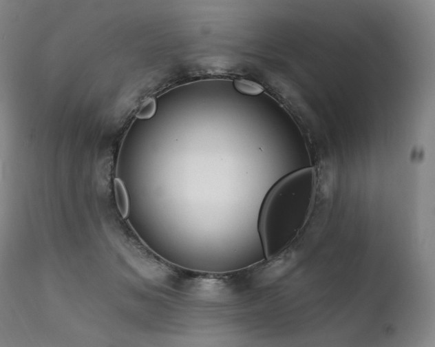 X0000111820509200907231321