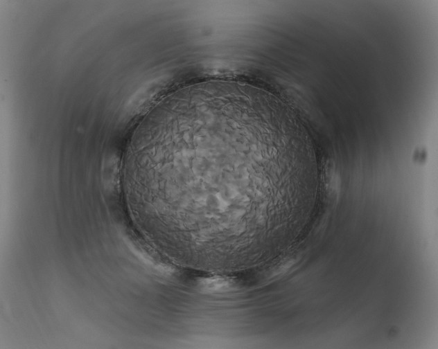 X0000111820511200907231321