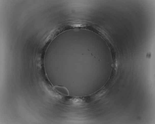 X0000111820512200907231321