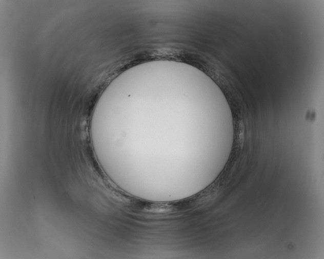 X0000111820514200907231321