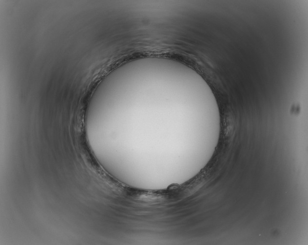 X0000111820515200907231321