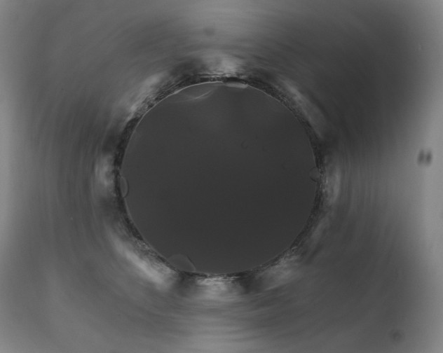 X0000111820516200907231321