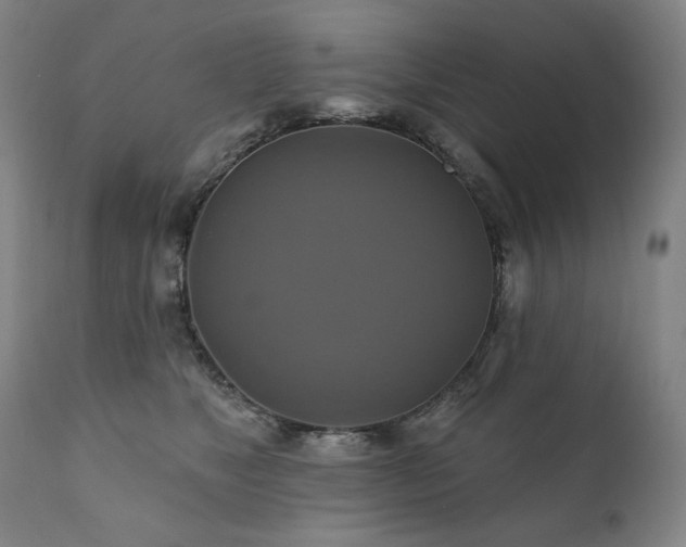 X0000111820517200907231321