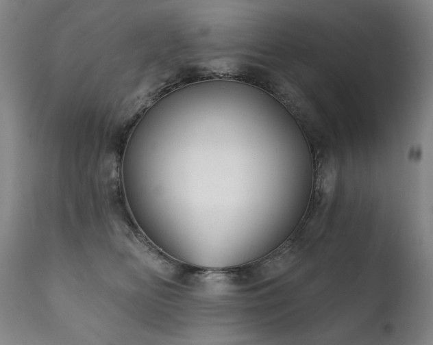 X0000111820518200907231321