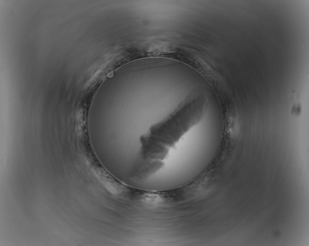 X0000111820519200907231321
