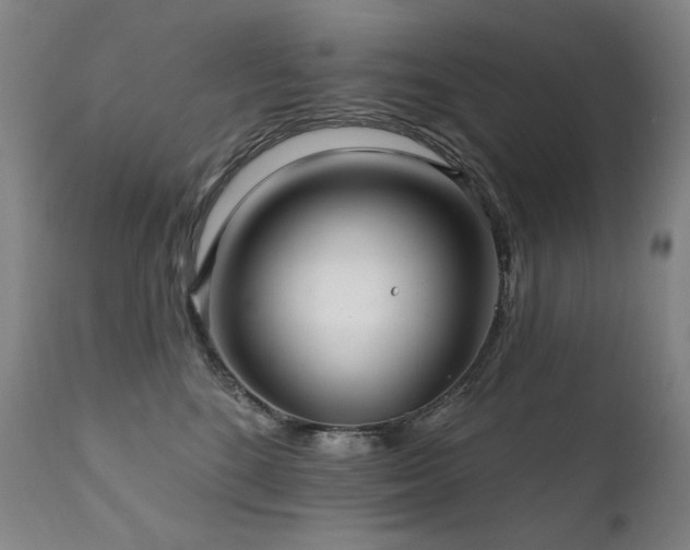 X0000111820520200907231321