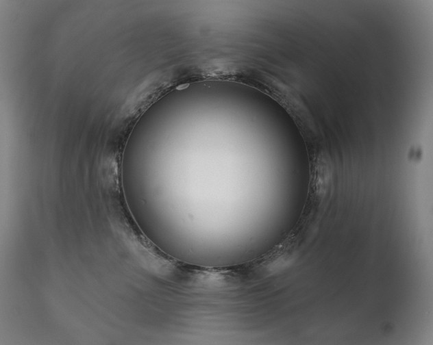 X0000111820523200907231321
