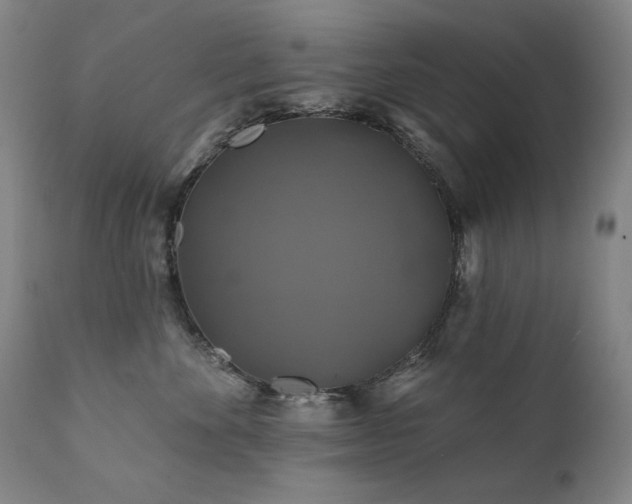 X0000111820524200907231321
