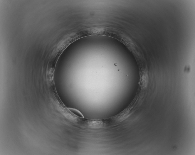 X0000111820525200907231321