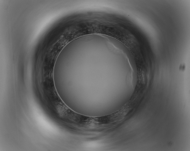 X0000111820526200907231321