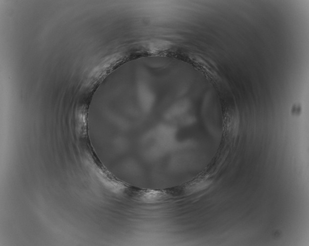 X0000111820527200907231321