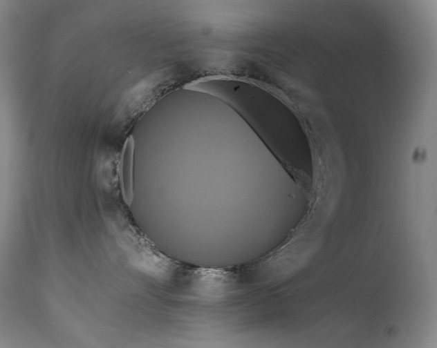 X0000111820528200907231321