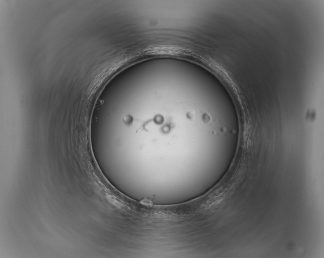 X0000111820529200907231320