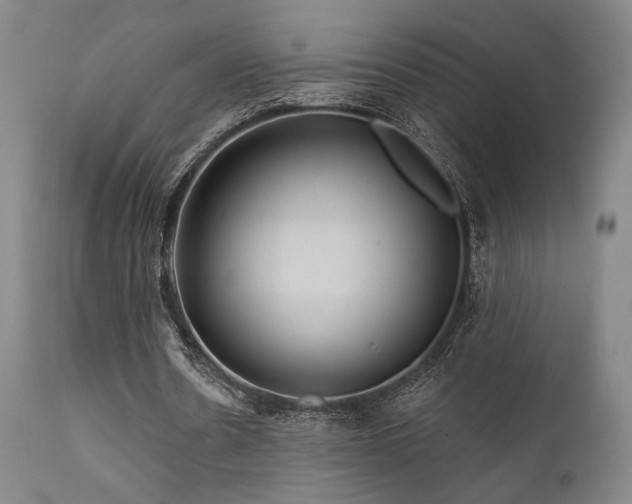 X0000111820530200907231320