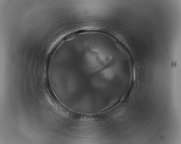 X0000111820531200907231320