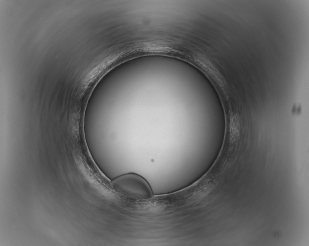 X0000111820533200907231320