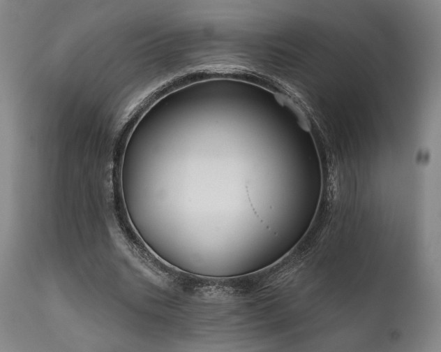 X0000111820535200907231320