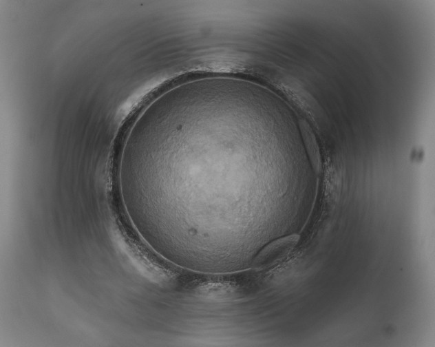 X0000111820536200907231320