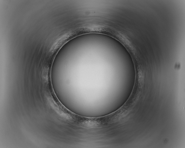 X0000111820537200907231320