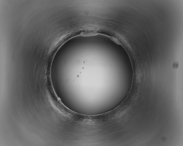 X0000111820538200907231320