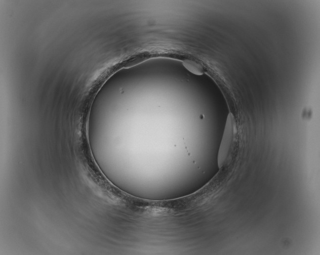 X0000111820539200907231320
