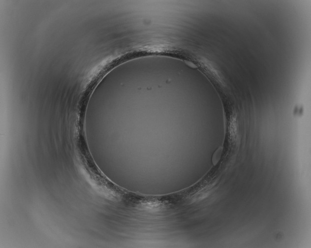 X0000111820540200907231320