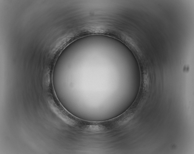 X0000111820541200907231320