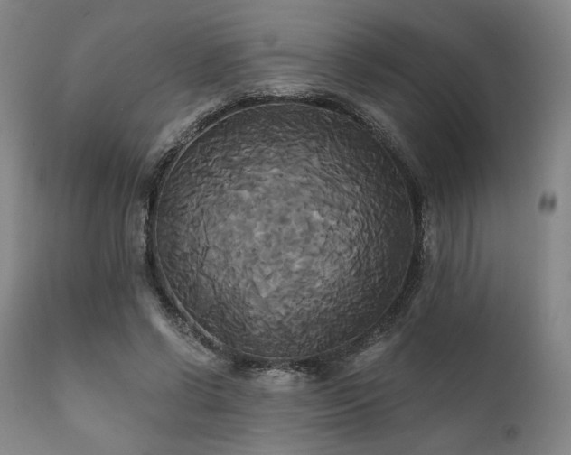 X0000111820542200907231320