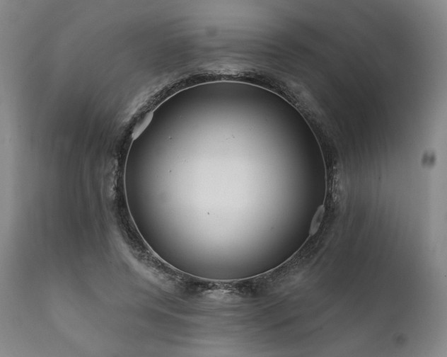 X0000111820544200907231320